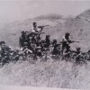 Partinico (82)